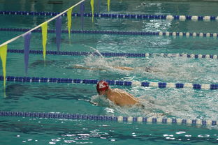 乐鱼（中国）体育官方网站-全国大学生花样游泳大赛优秀节目连连，2020年全国花样游泳比赛