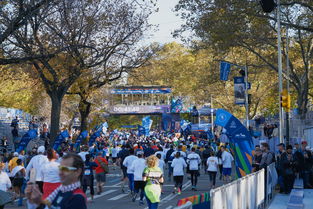 乐鱼娱乐app-全国大学生马拉松赛激情奔跑城市间，全国大学生马拉松联赛