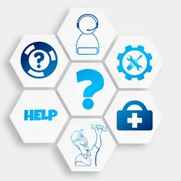 APP下载 LY Sports-篮球联赛市场化运营模式探索，篮球比赛市场分析