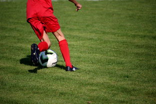 中超球员年度技术评分标准体系，中超球员技术统计