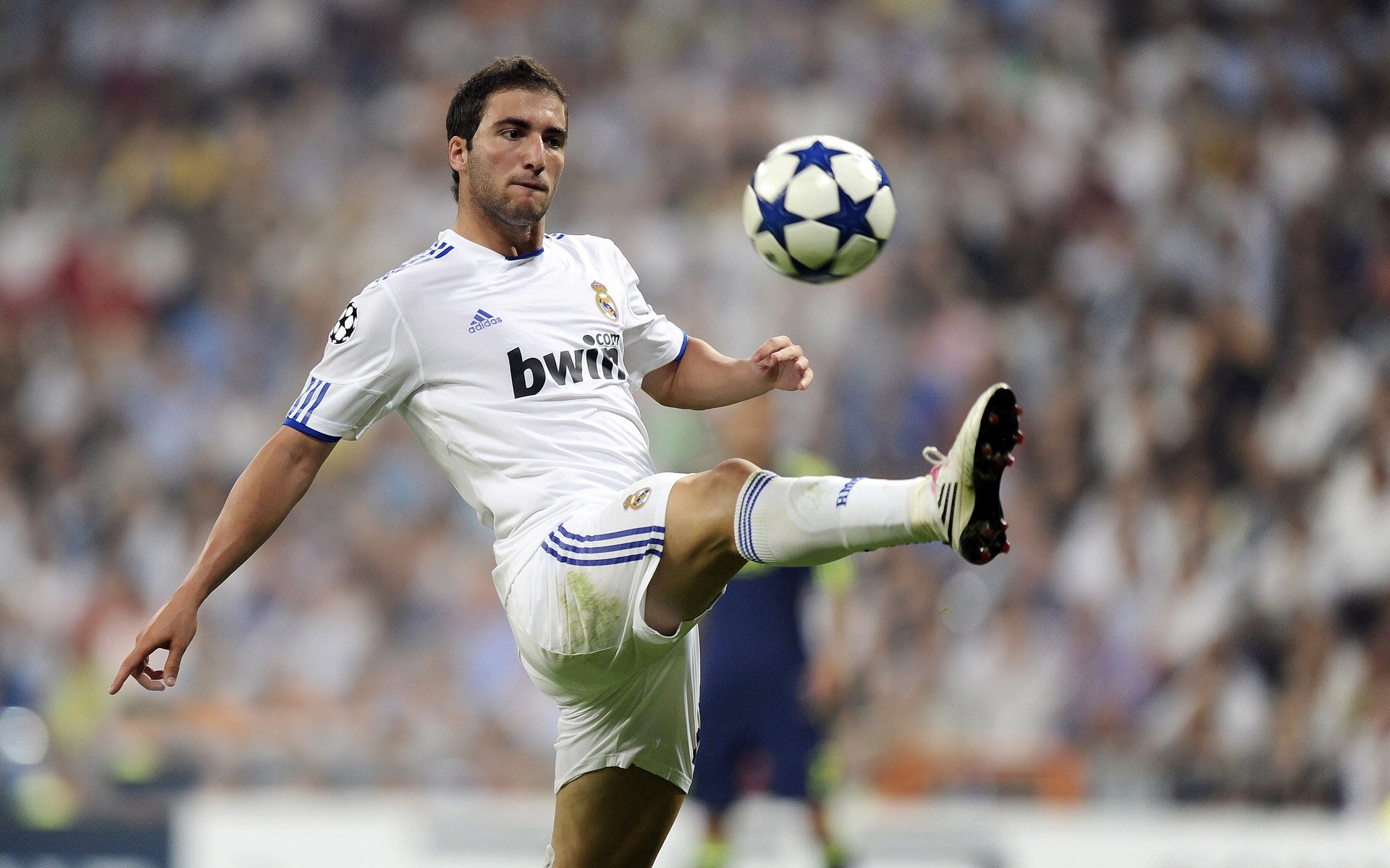 自由搏击加入多种跨项体能训练，自由搏击加入多种跨项体能训练方法